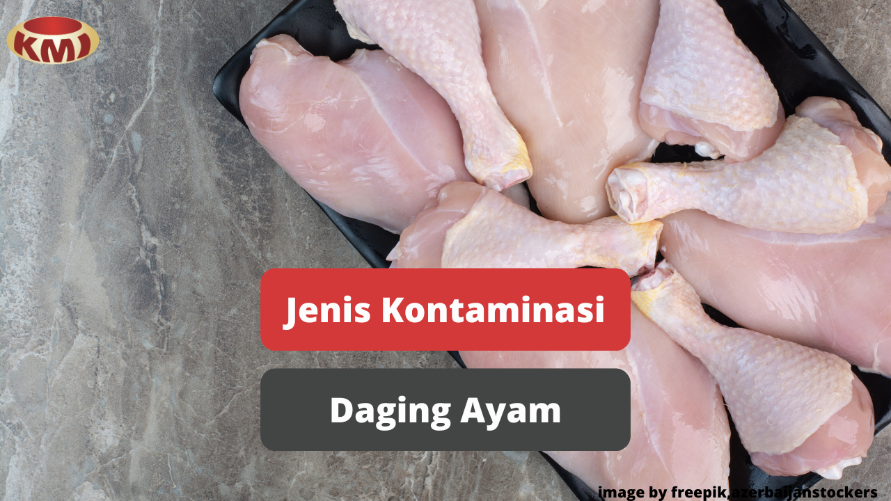 Kenali Macam Jenis Kontaminan Daging Ayam Broiler